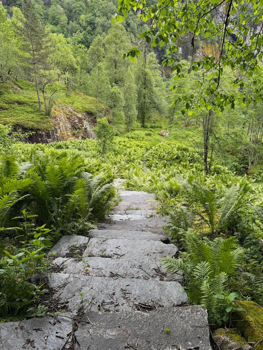 Stone path through green forest