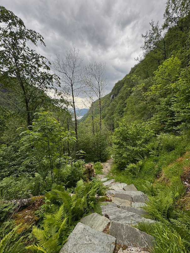 Stone path up a green valley with steep sides