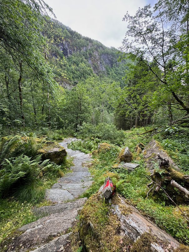 Stone path in the Kvanndalen valley