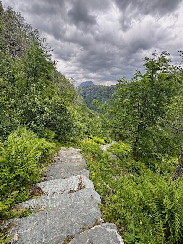 Stone slab path through ferns, with mountains behind