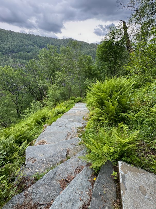 Stone slab steps through ferns, with green mountains behind