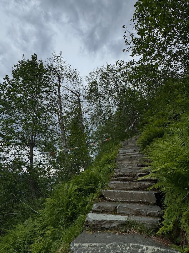 Stone steps up a steep forest slope, built by Sherpas from Nepal