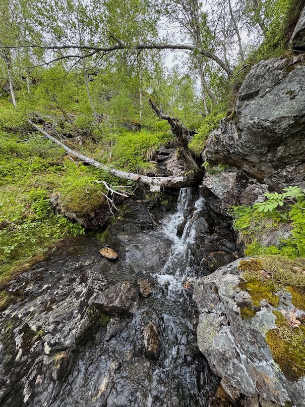 Stream that runs over rocks in the forest