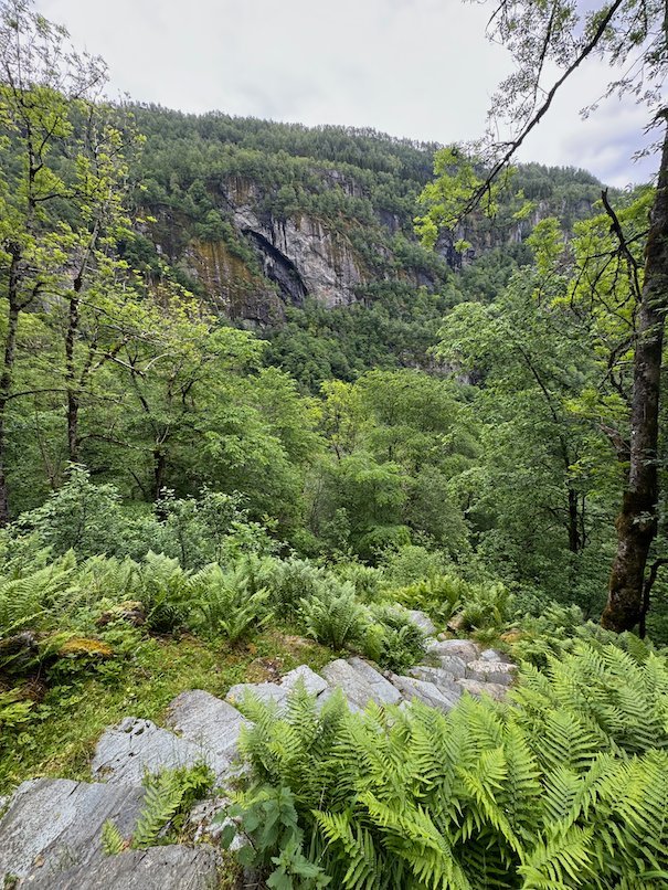 Kvanndalen valley with forest and cliffs