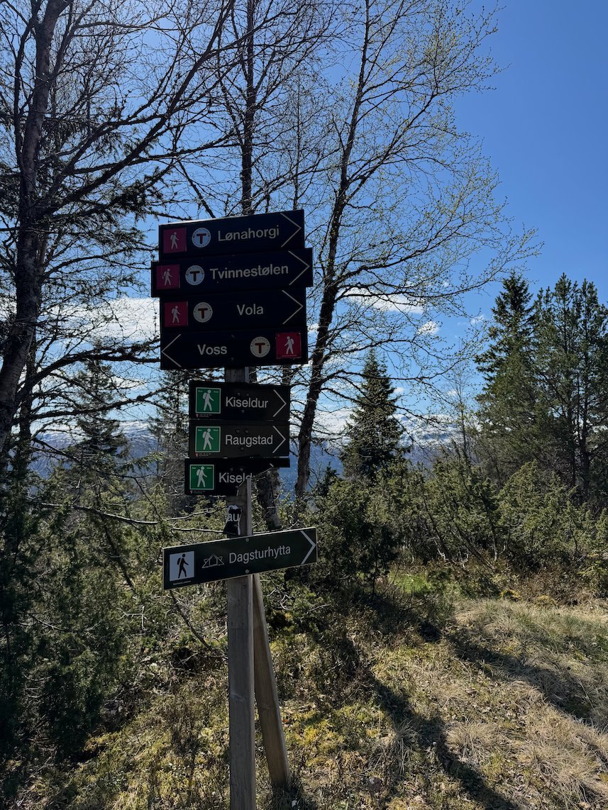 Signpost with directions to Lønahorgi, Vola, Voss and Dagsturhytta among birch trees