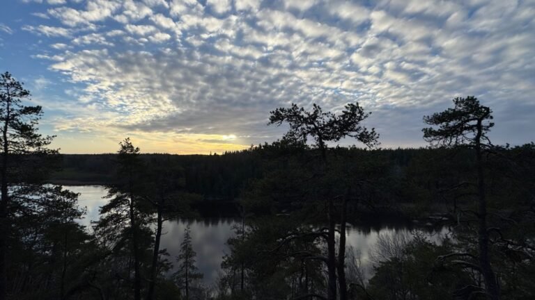 Patterned clouds over a forest lake at dusk