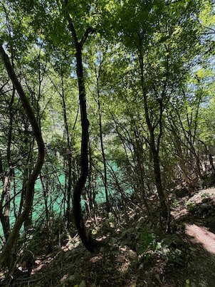 Thin trees grow on a slope above the green water in Matka Canyon.
