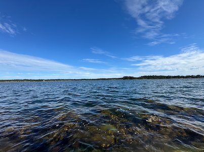 Clear shallow water over seaweed, with open sea and blue sky behind