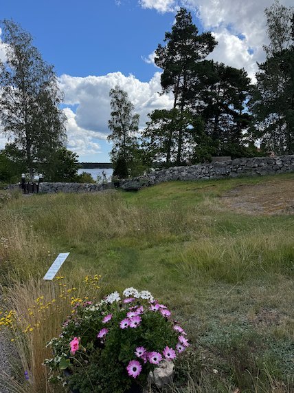 Meadow with pink flowers and an old stone wall on Möja, with water behind the trees
