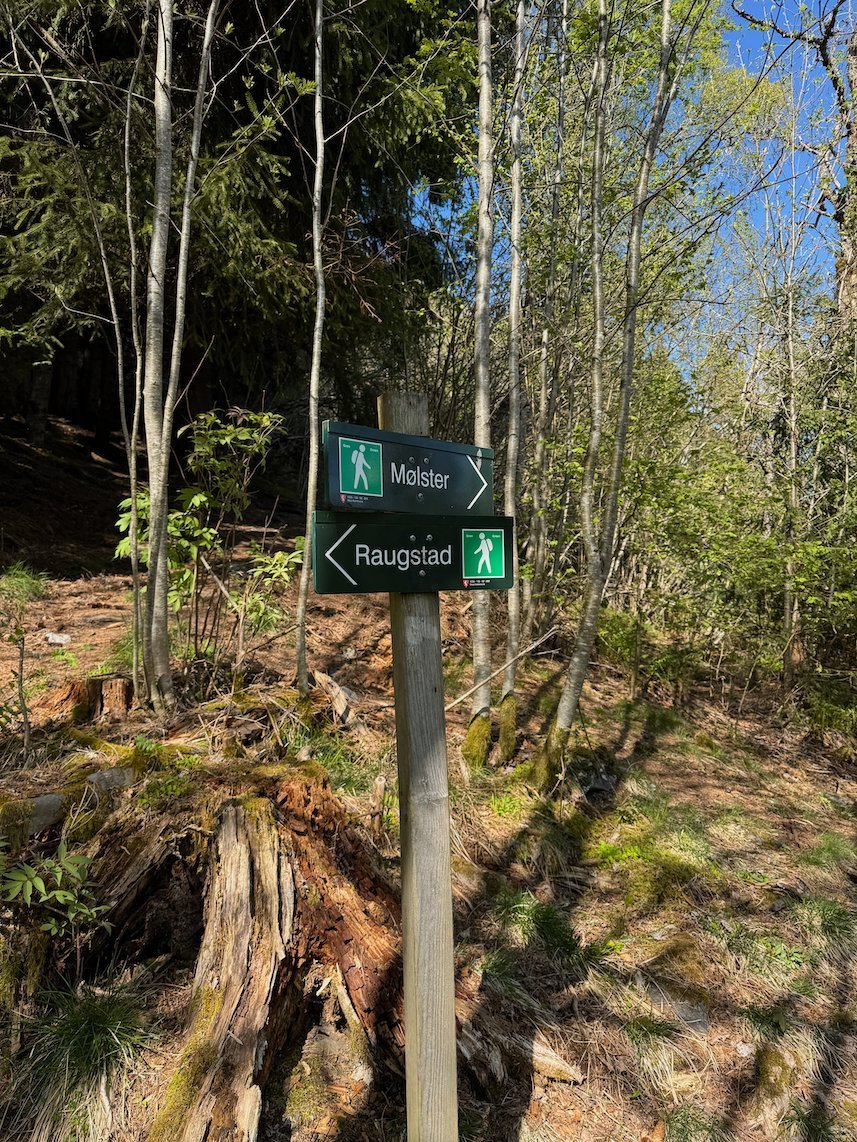 Signpost with directions to Mølster and Raugstad in the forest above Voss
