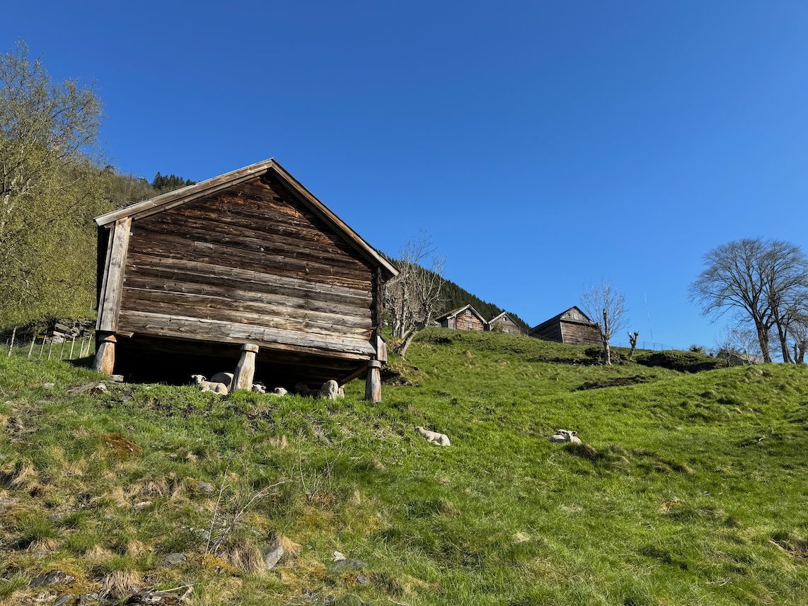 Old wooden storehouse on stone posts in the farmyard at Mølstertunet above Voss