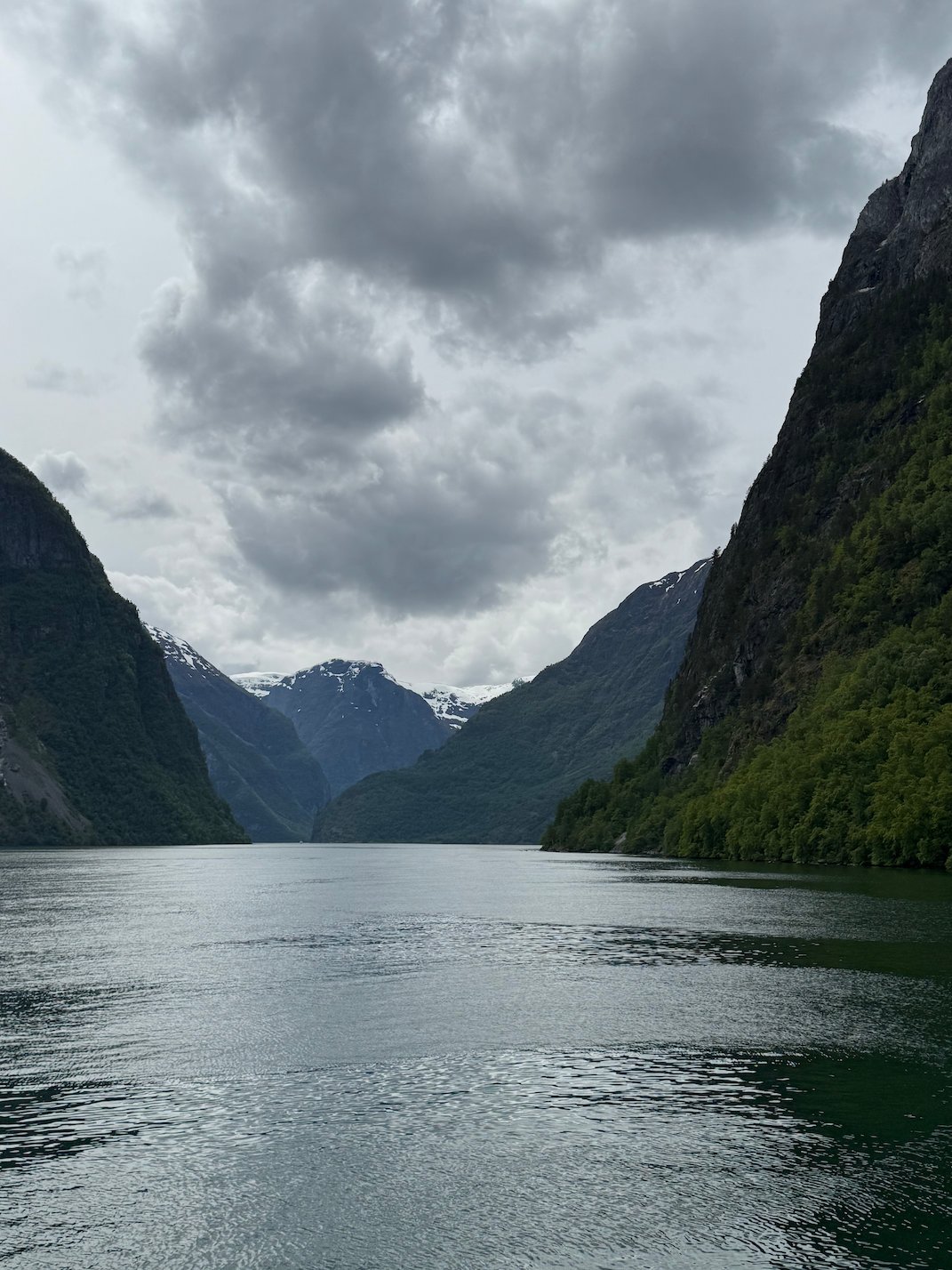 The narrow Nærøyfjord between steep green cliffs under a grey sky, seen from the boat