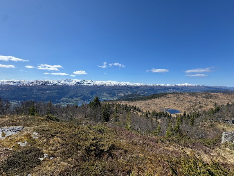 Mountain plateau with a small lake and the last trees at the edge of the tree line, Western Norway