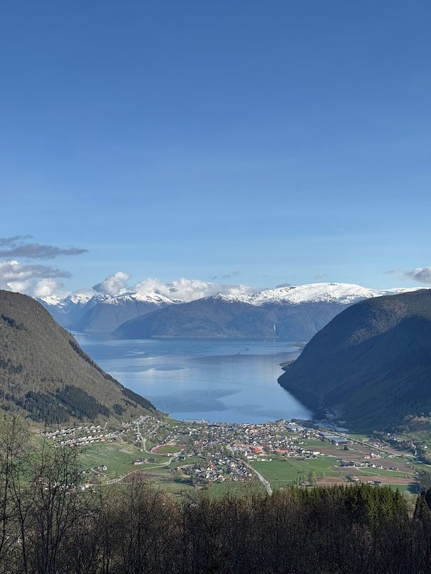 Fjord and village seen from a forested mountain slope, with snowy mountains on the horizon