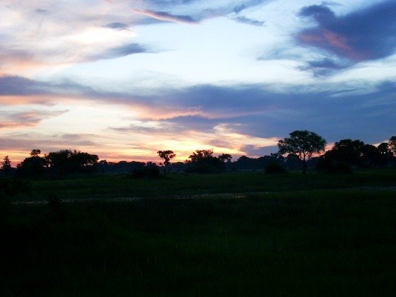 The sun sets behind dark trees and grass in the Okavango Delta, Botswana.