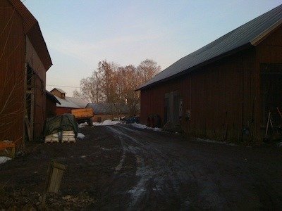 Röda lador och en lerig gårdsplan med rester av snö