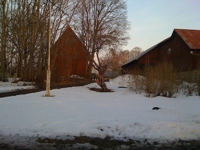 Röda lador och stora kala träd på en snötäckt gårdsplan
