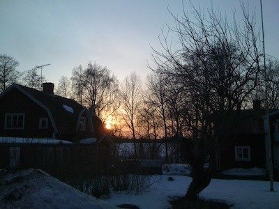 Solnedgång bakom röda hus och kala träd på gården