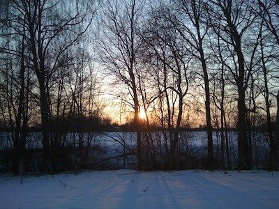 Låg sol bakom kala träd vid ett snötäckt åkerfält