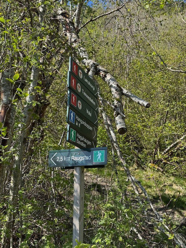 Signpost to Raugstad 2.5 km and other trails between birch branches