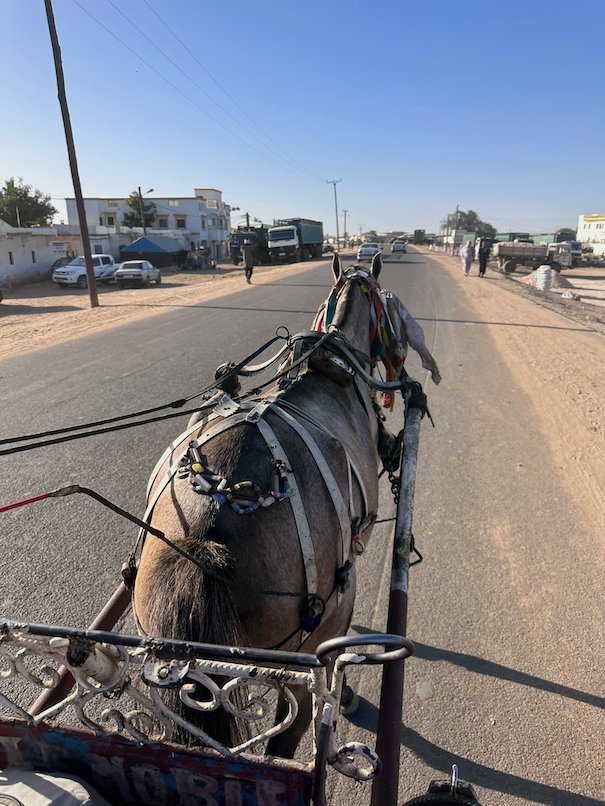 A horse pulls a cart on a road in Rosso.