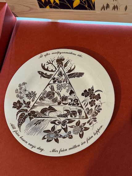 White plate with a brown food pyramid print