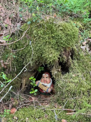 Garden gnome in a hole in a mossy tree stump