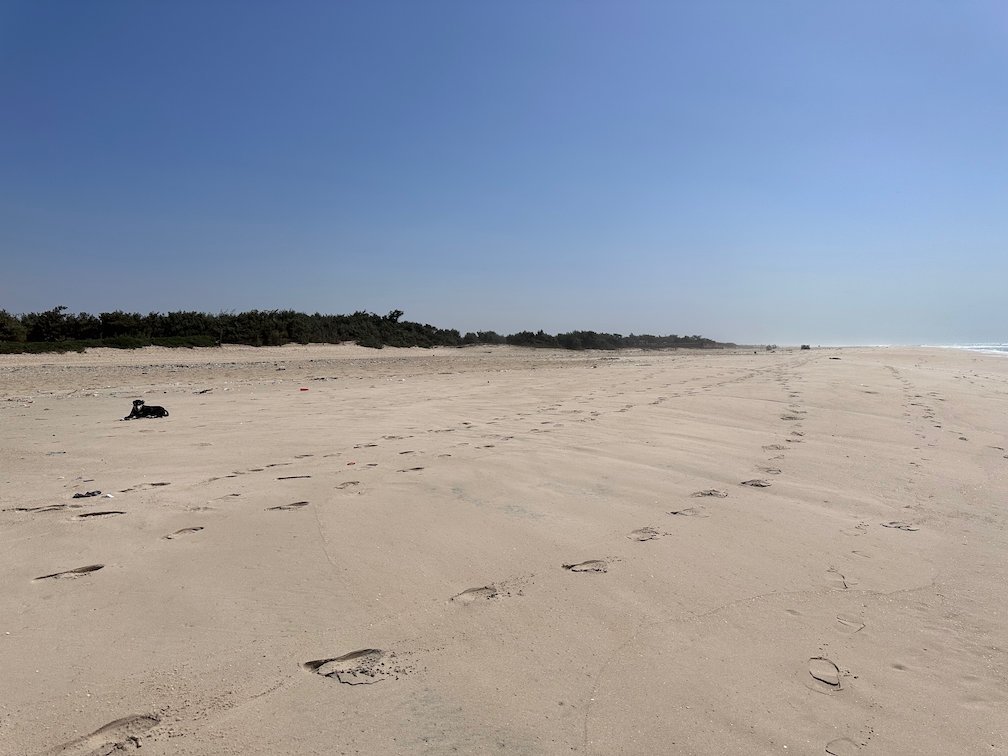 Footprints cross the sand of a beach with trees behind near Saint-Louis.