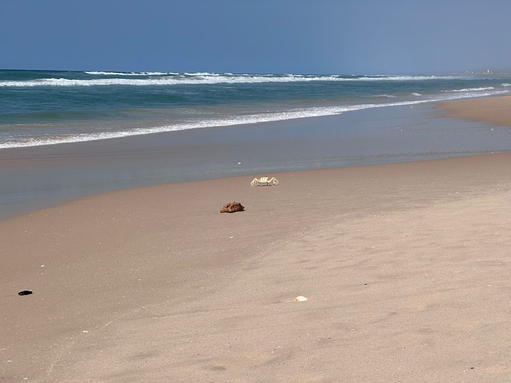 Small waves wash onto a sandy beach with shells near Saint-Louis.