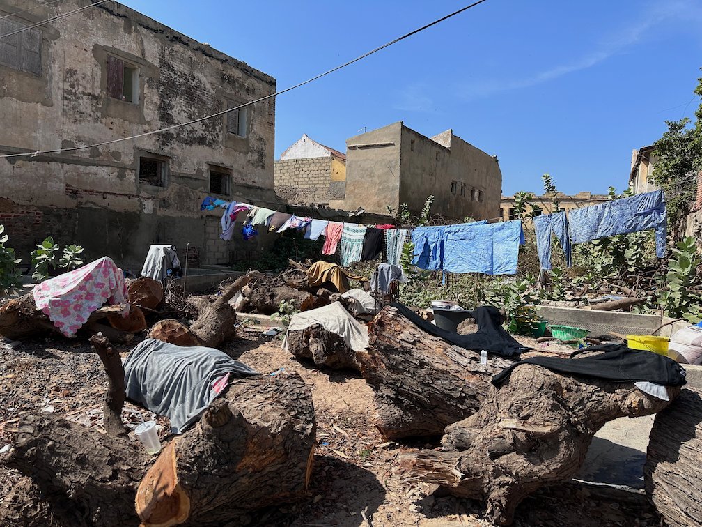 Laundry hangs on lines over old logs in a yard in Saint-Louis.