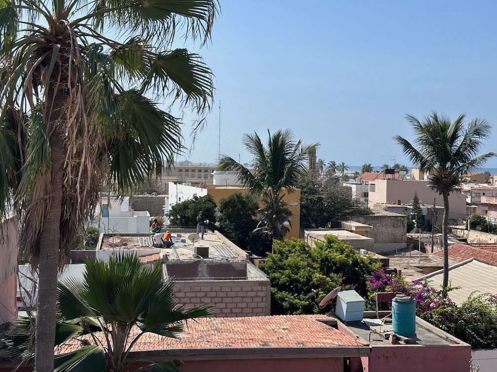 Palm trees and houses fill the view from a rooftop in Saint-Louis.