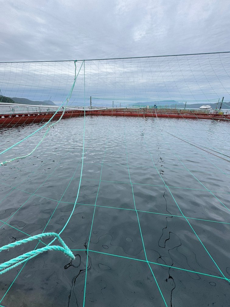 Edge of a round salmon sea pen with nets and floating rings in the Hardangerfjord