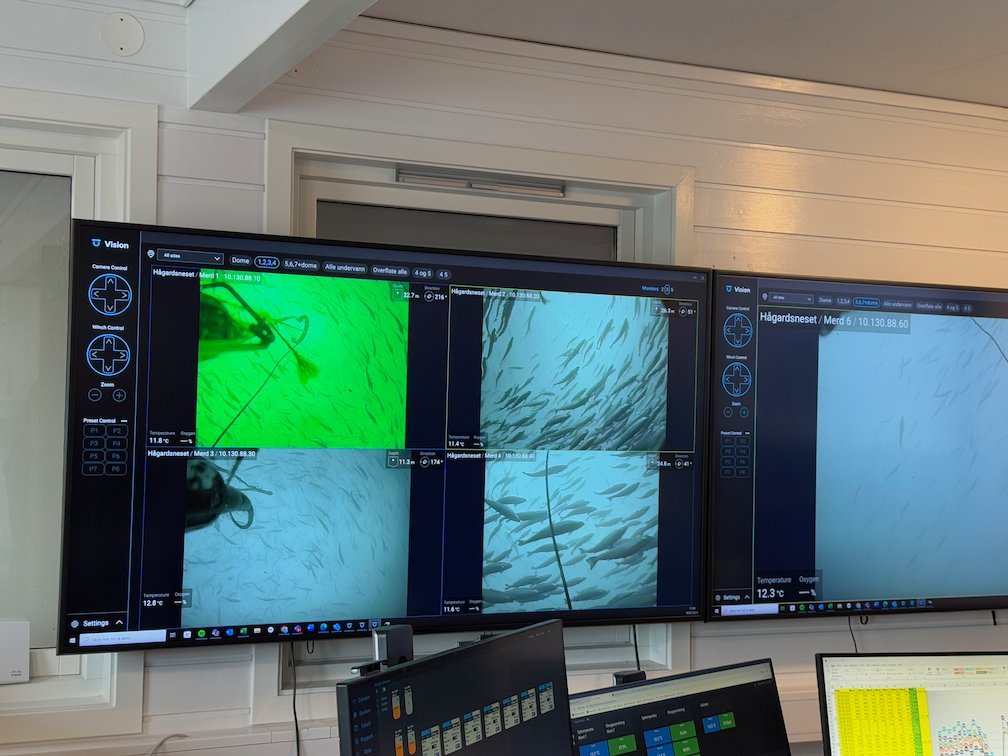 Screens that show underwater camera images of salmon in the pens, in the control room