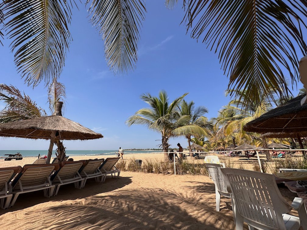 Sun loungers and parasols stand under palm trees on the beach in Saly.