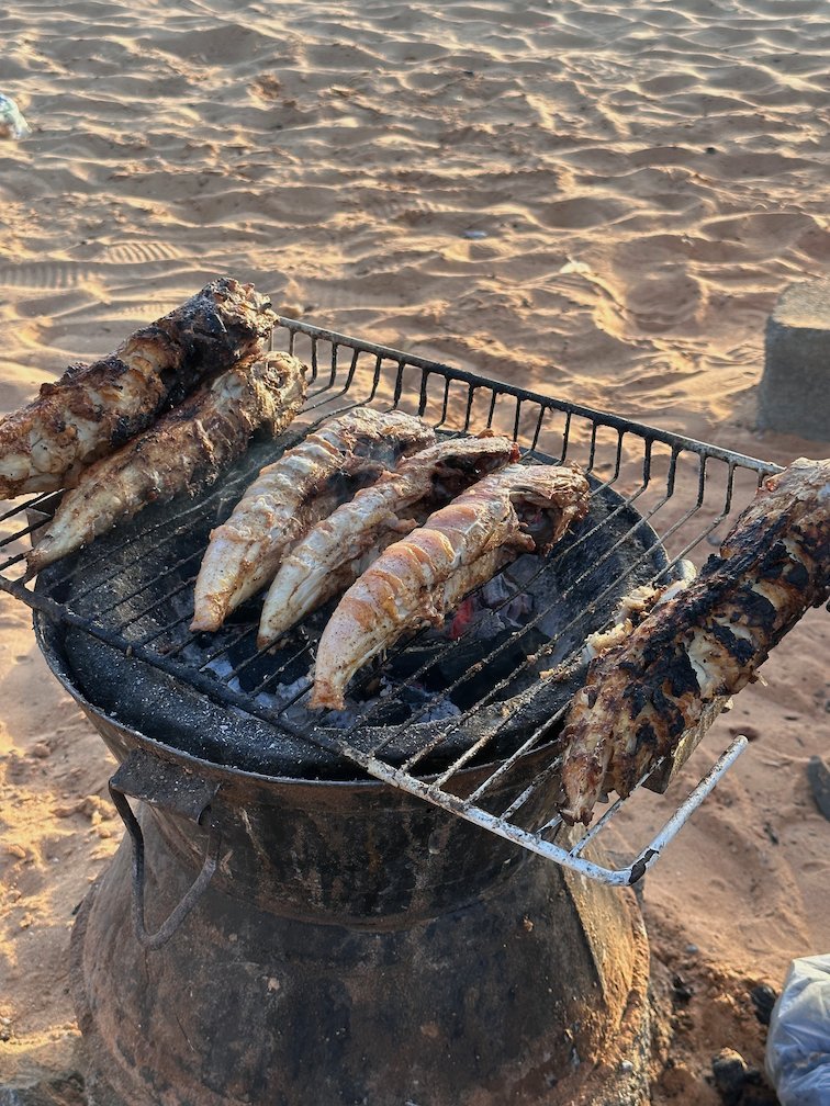 Fish cook on a small grill on the sand of the beach in Saly.
