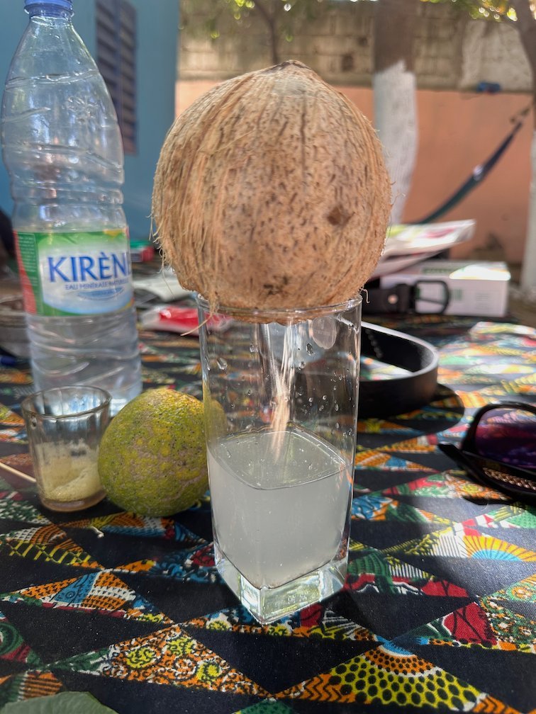 A fresh coconut stands on a glass of coconut water on a table.