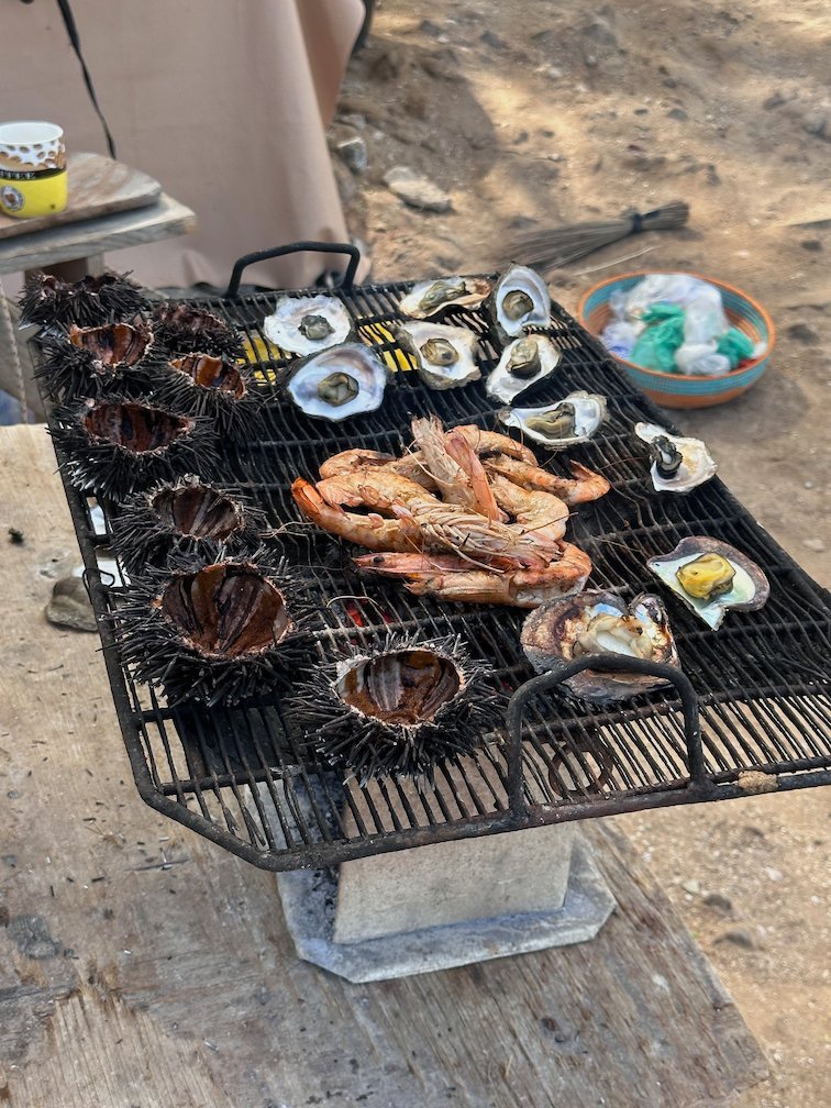 Sea urchins, oysters and shrimp cook on a grill in Saly.