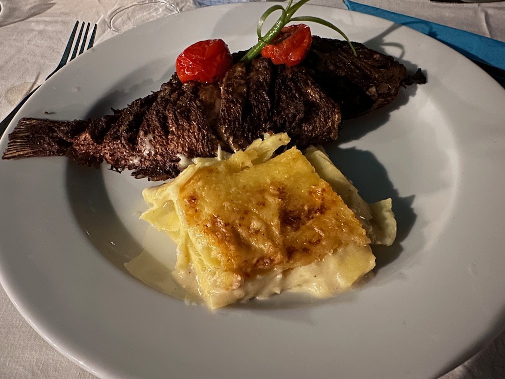 Grilled meat with potato gratin and tomato lies on a plate in Saly.