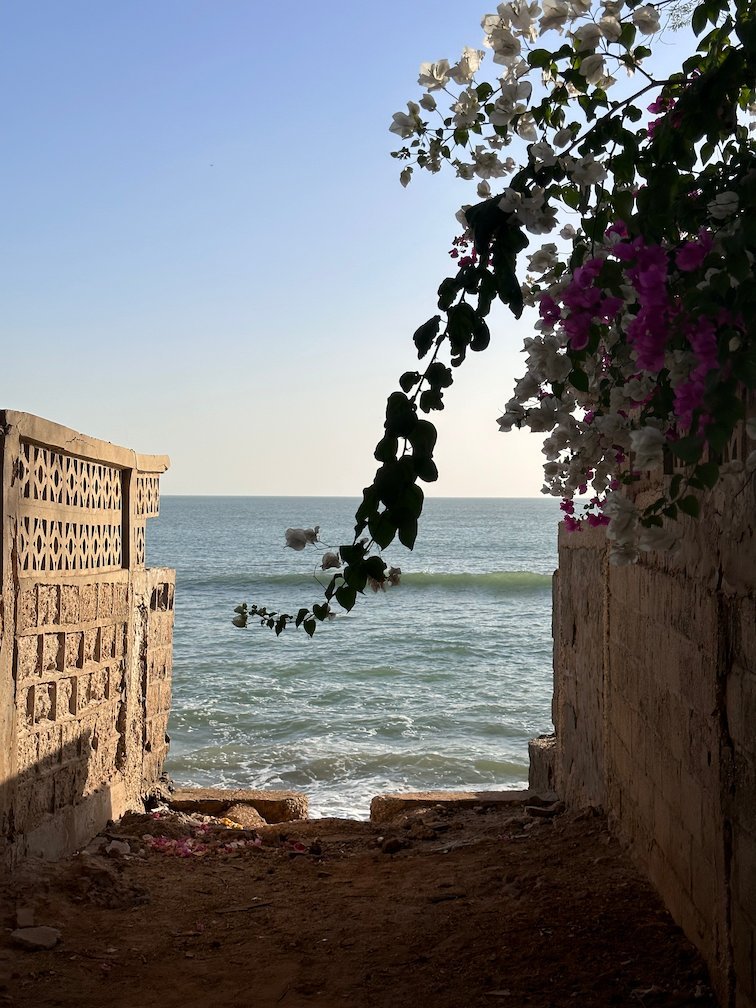 A narrow path leads to the sea under bougainvillea flowers in Saly.