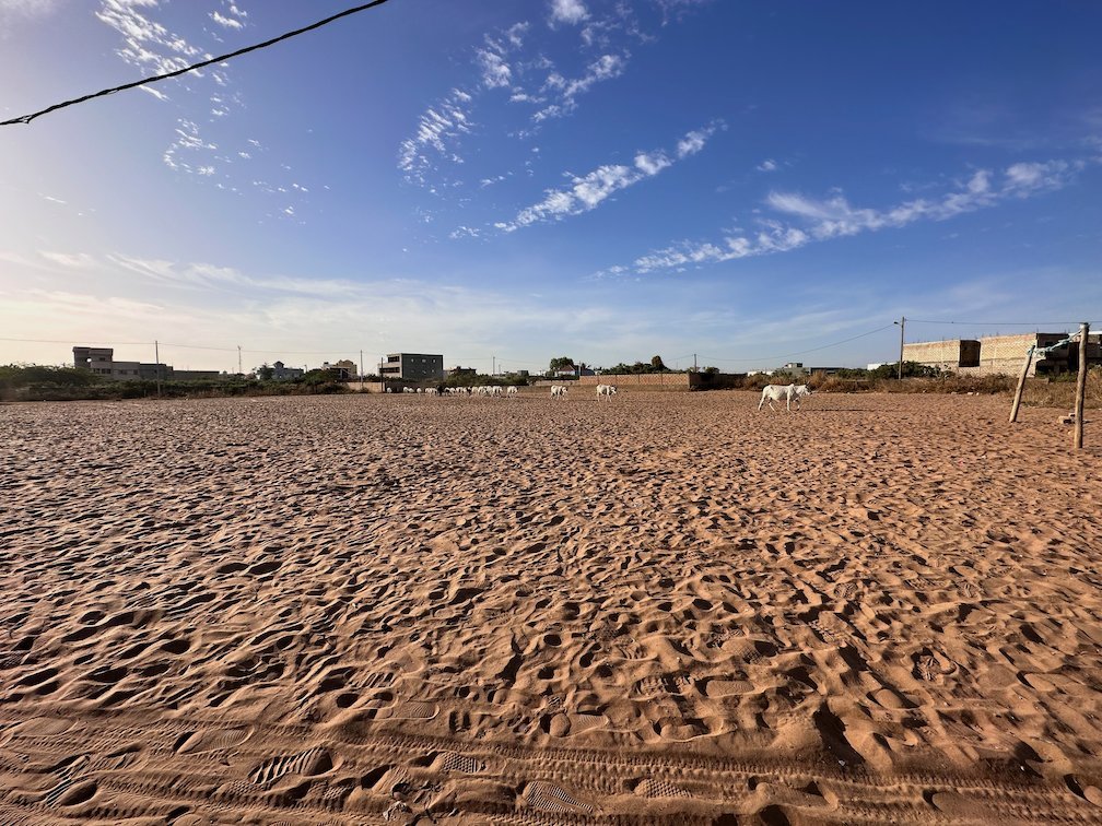 A wide sandy field lies in front of houses near Saly.