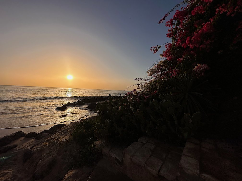 Bougainvillea grows on the coast as the sun sets in Saly.