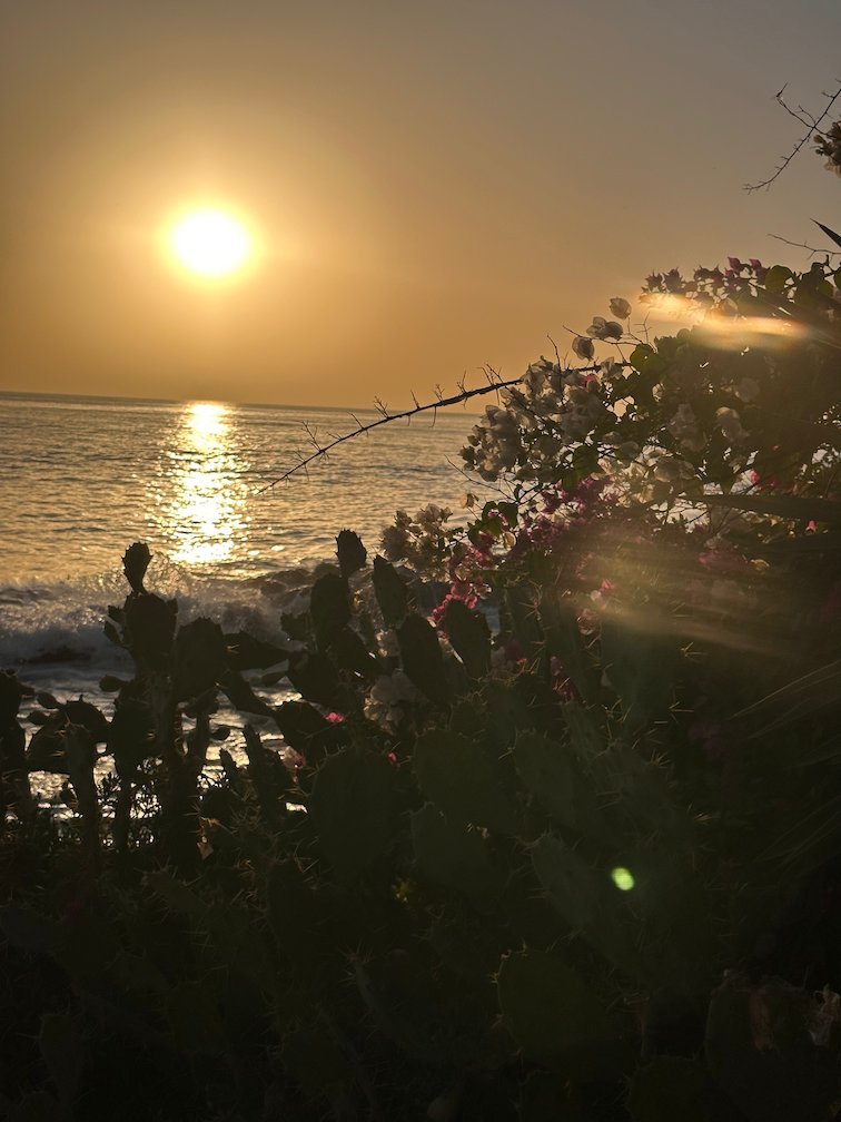 The sun sets over the sea behind flowering bushes in Saly.