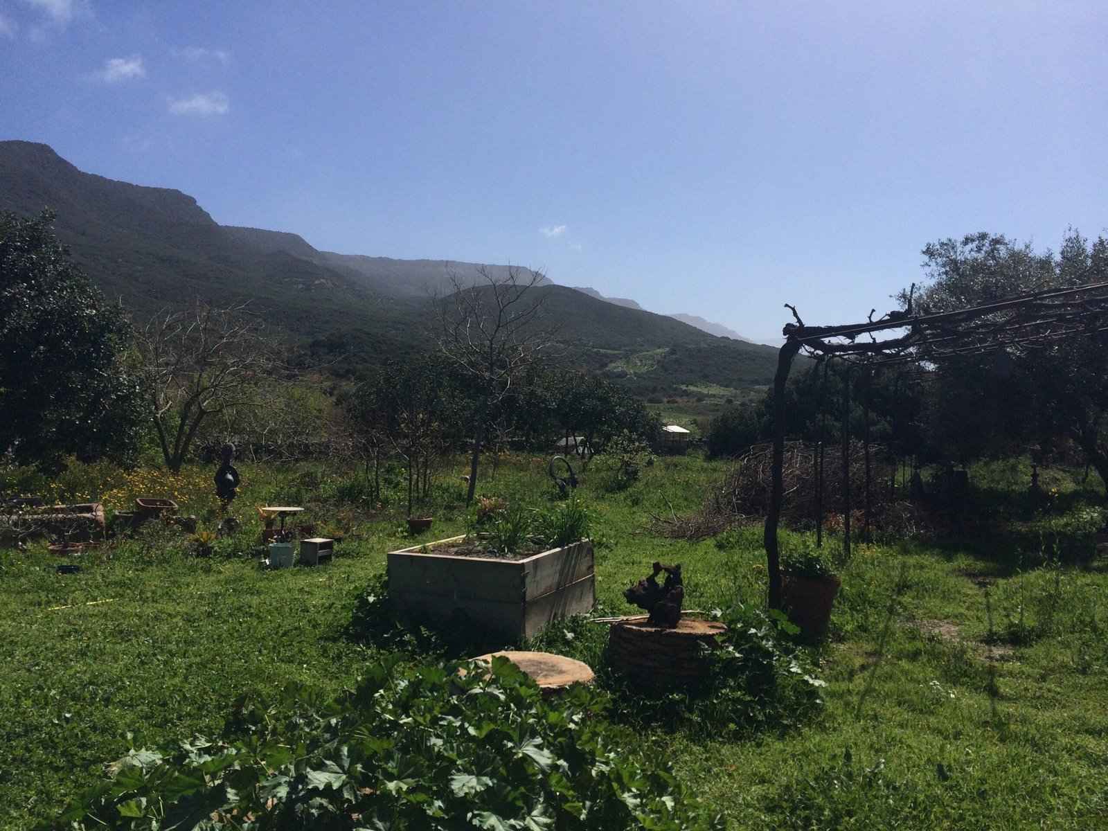 Raised beds and a pergola stand in a farm garden below mountains in Sardinia.