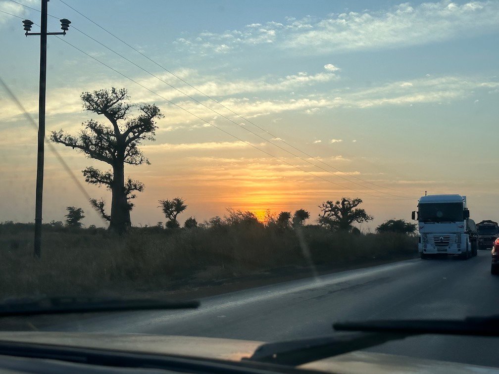 A truck drives on a road with a baobab tree at sunset in Senegal.