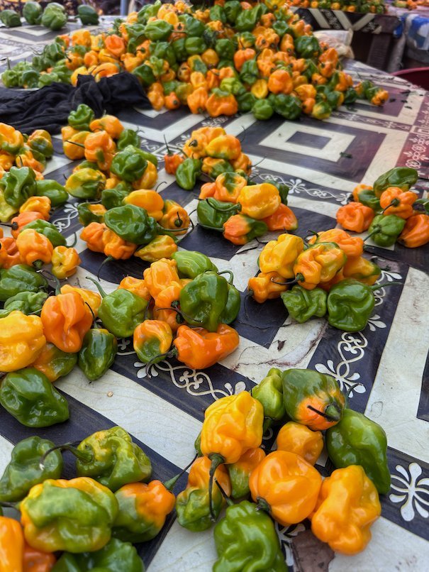 Green and orange peppers lie on a patterned cloth at the market in Serrekunda, The Gambia.