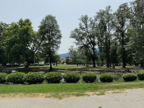 Tall trees and green hedges line a path in a large park in Skopje.