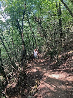 A traveler walks on a forest trail on Mount Vodno near Skopje.
