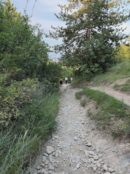 A rocky hiking trail climbs through green bushes on Mount Vodno above Skopje.