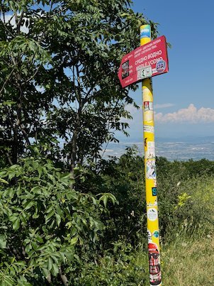 A yellow signpost covered in stickers stands beside green bushes on Mount Vodno near Skopje.