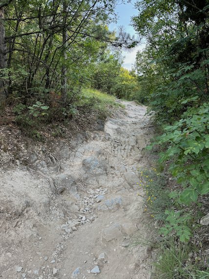 A steep dirt path climbs between trees on Mount Vodno near Skopje.
